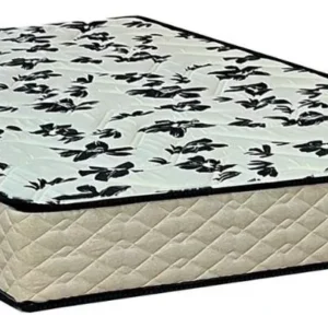 Colchão De Espuma D-33 Paropas Pasquale Casal 18 Cm Altura